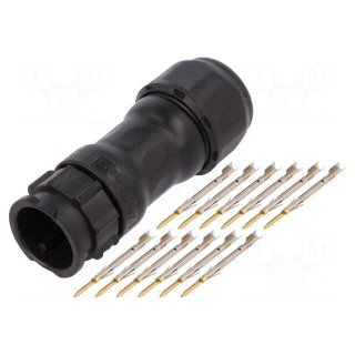 Connector: circular | plug | for cable | PIN: 12 | male | with contacts