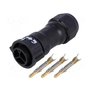 Connector: circular | male | plug | crimped | PIN: 3 | 14AWG÷12AWG | IP68