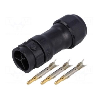 Connector: circular | male | plug | crimped | PIN: 3 | 14AWG÷12AWG | IP68