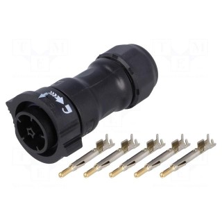 Connector: circular | male | plug | crimped | PIN: 5 | 14AWG÷12AWG | IP68