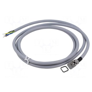 Connector: rectangular | G | plug | female | PIN: 4 | IP65 | grey | 50V | 10A