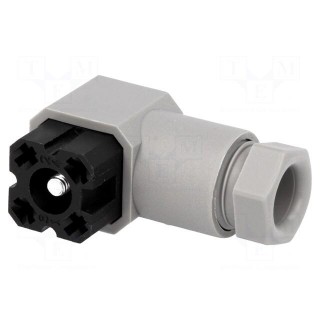 Connector: rectangular | G | plug | female | PIN: 4 | tinned | IP65 | grey