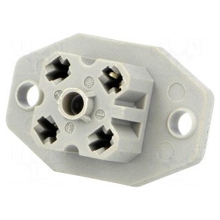 Connector: rectangular | G | socket | female | PIN: 4 | tinned | IP65 | grey