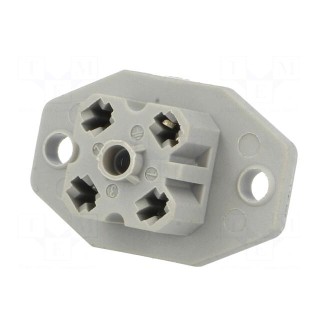 Connector: rectangular | G | socket | female | PIN: 4 | tinned | IP65 | grey