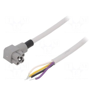 Connector: rectangular | G | plug | female | PIN: 4 | IP65 | grey | 50V | 10A