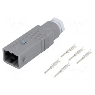Connector: rectangular | ST | plug | male | PIN: 5 | silver plated | IP54