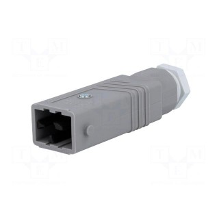 Connector: rectangular | ST | plug | male | PIN: 5 | silver plated | IP54