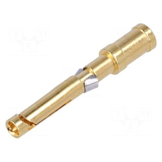 Contact | female | 2.5mm2 | 14AWG | gold-plated | crimped | bulk | 10A