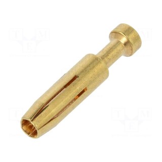 Contact | female | 0.37mm2 | 22AWG | gold-plated | crimped | bulk | 16A