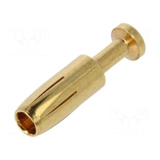 Contact | female | copper alloy | gold-plated | 1.5mm2 | 16AWG | bulk