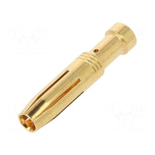 Contact | female | copper alloy | gold-plated | 2.5mm2 | 14AWG | bulk