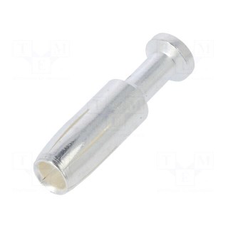 Contact | female | 2.5mm2 | 14AWG | silver plated | crimped | bulk | 40A