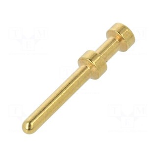 Contact | male | copper alloy | gold-plated | 0.37mm2 | 22AWG | bulk