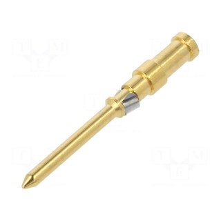 Contact | male | 0.75mm2 | 18AWG | gold-plated | crimped | bulk | 10A