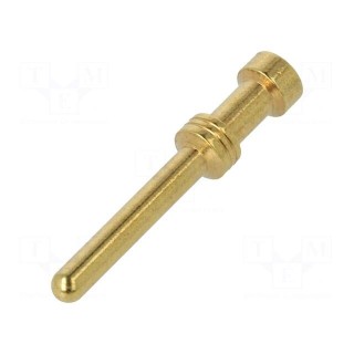 Contact | male | 1.5mm2 | 16AWG | gold-plated | crimped | bulk | for cable