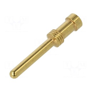 Contact | male | 2.5mm2 | 14AWG | gold-plated | crimped | bulk | for cable