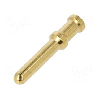 Contact | male | 6mm2 | 10AWG | gold-plated | crimped | bulk | for cable