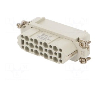 Connector: HDC | contact insert | female | C146,heavy|mate D | PIN: 25