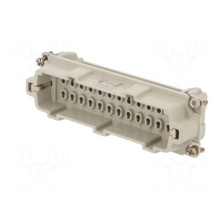 Connector: HDC | contact insert | male | C146,heavy|mate E | PIN: 24