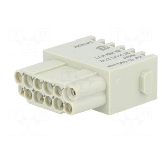 Connector: HDC | module | female | Han-Modular® | PIN: 12 | 10A | 250V