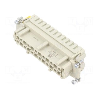Connector: HDC | contact insert | female | Han® ES | PIN: 24 | 24+PE