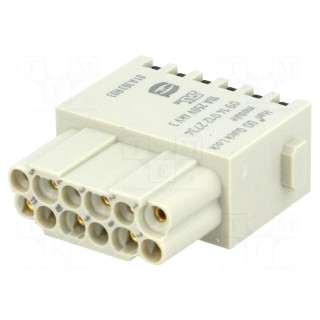 Connector: HAN | module | female | Quick Lock | PIN: 12 | snap-on | 10A