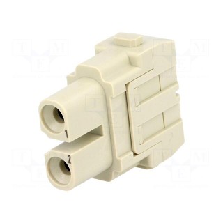 Connector: HDC | module | female | Han-Modular® | PIN: 2 | 40A | 1000V