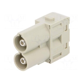 Connector: HDC | module | male | Han-Modular® | PIN: 2 | 70A | 1000V