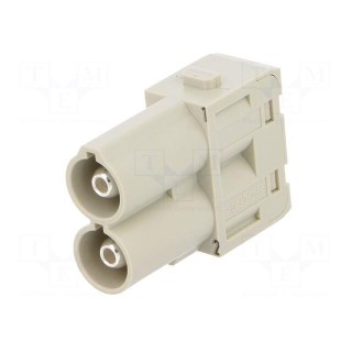 Connector: HDC | module | male | Han-Modular® | PIN: 2 | 70A | 1000V