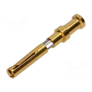 Contact | female | copper alloy | gold-plated | 0.14÷0.37mm2 | crimped