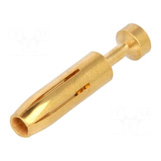Contact | female | 0.14÷0.37mm2 | Han E | gold-plated | crimped | 16A