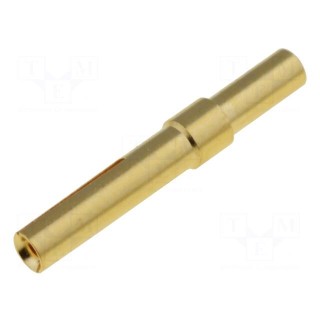 Contact | female | gold-plated | 0.25÷0.52mm2 | 24AWG÷20AWG | crimped