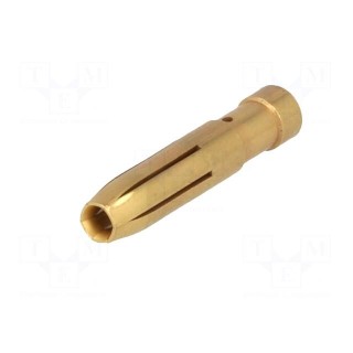 Contact | female | copper alloy | gold-plated | 4mm2 | 12AWG | crimped