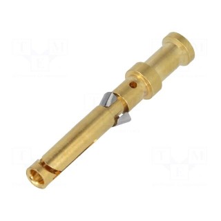 Contact | female | copper alloy | nickel plated,gold-plated | Han® D