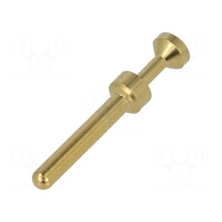 Contact | male | 0.14÷0.37mm2 | Han E | gold-plated | crimped | 16A