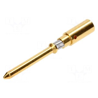 Contact | male | copper alloy | gold-plated | 2.5mm2 | 14AWG | crimped