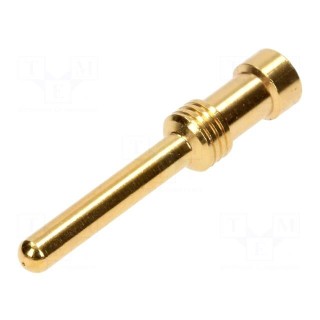 Contact | male | copper alloy | gold-plated | 2.5mm2 | 14AWG | crimped