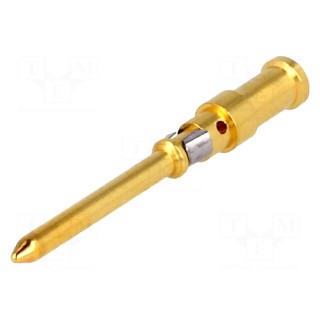 Contact | male | copper alloy | gold-plated | 0.14÷0.37mm2 | crimped
