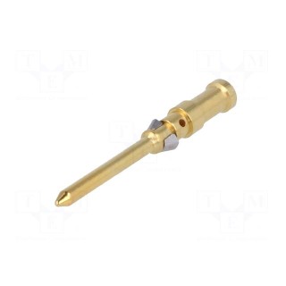 Contact | male | copper alloy | gold-plated | 0.5mm2 | 20AWG | crimped