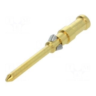 Contact | male | copper alloy | gold-plated | 0.75mm2 | 18AWG | crimped