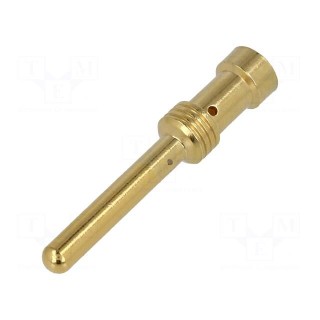 Contact | male | copper alloy | gold-plated | 2.5mm2 | Han E® | crimped