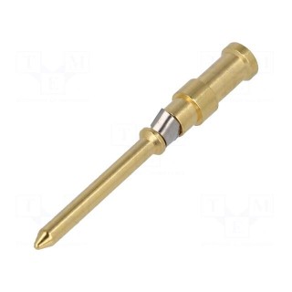 Contact | male | copper alloy | nickel plated,gold-plated | 0.5mm2