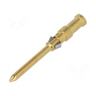 Contact | male | copper alloy | nickel plated,gold-plated | 0.75mm2