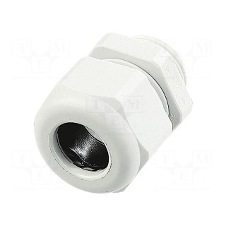 Gland | M32 | IP68 | 18÷25mm | Mat: thermoplastic | grey