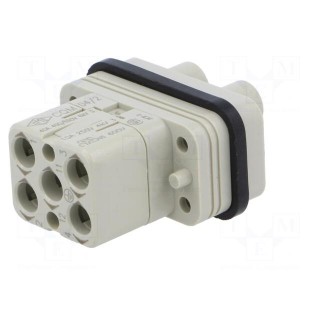 Connector: HDC | contact insert | male | CQ | PIN: 4 | 4+PE | size 32.13