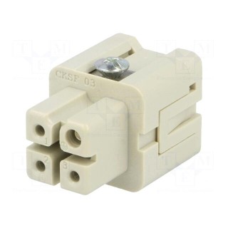 Connector: HDC | contact insert | female | CKS | PIN: 4 | 3+PE | 10A | 400V