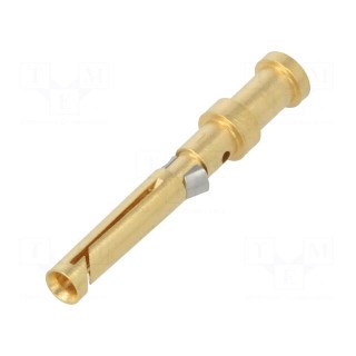 Contact | female | gold-plated | 0.14÷0.37mm2 | EPIC H-D 1.6 | bulk