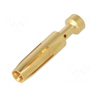Contact | female | gold-plated | 0.5mm2 | EPIC H-BE 2.5 | crimped