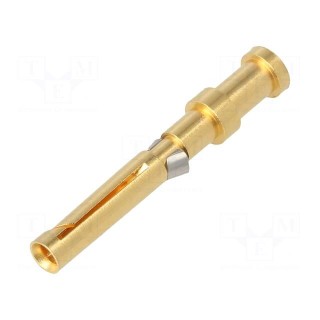 Contact | female | gold-plated | 0.5mm2 | EPIC H-D 1.6 | bulk | crimped