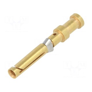 Contact | female | gold-plated | 0.75÷1mm2 | EPIC H-D 1.6 | bulk